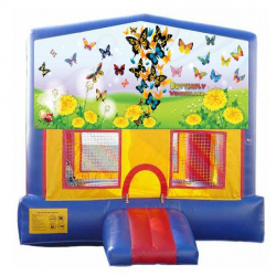 Butterfly Extreme Bouncer with Slide
